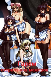 Обложка к Аристов Руслан. Гарем стервозных мажорок. Сборник