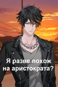 Обложка к Романов Илья. Я разве похож на аристократа? Сборник